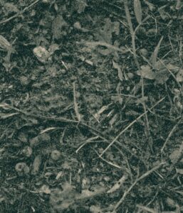 textured background of dirt