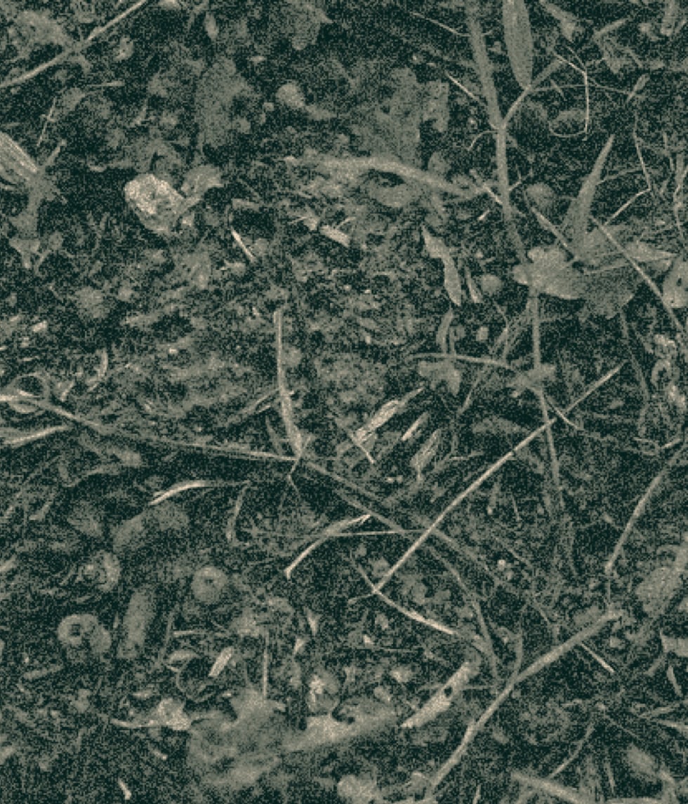 textured background of dirt