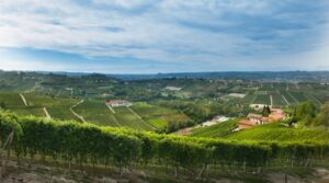 Ada Nada winery