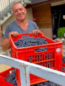 Ada Nada with grapes