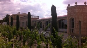 Chateau Chantecler vineyard
