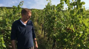 Domaine Bechtold vineyard