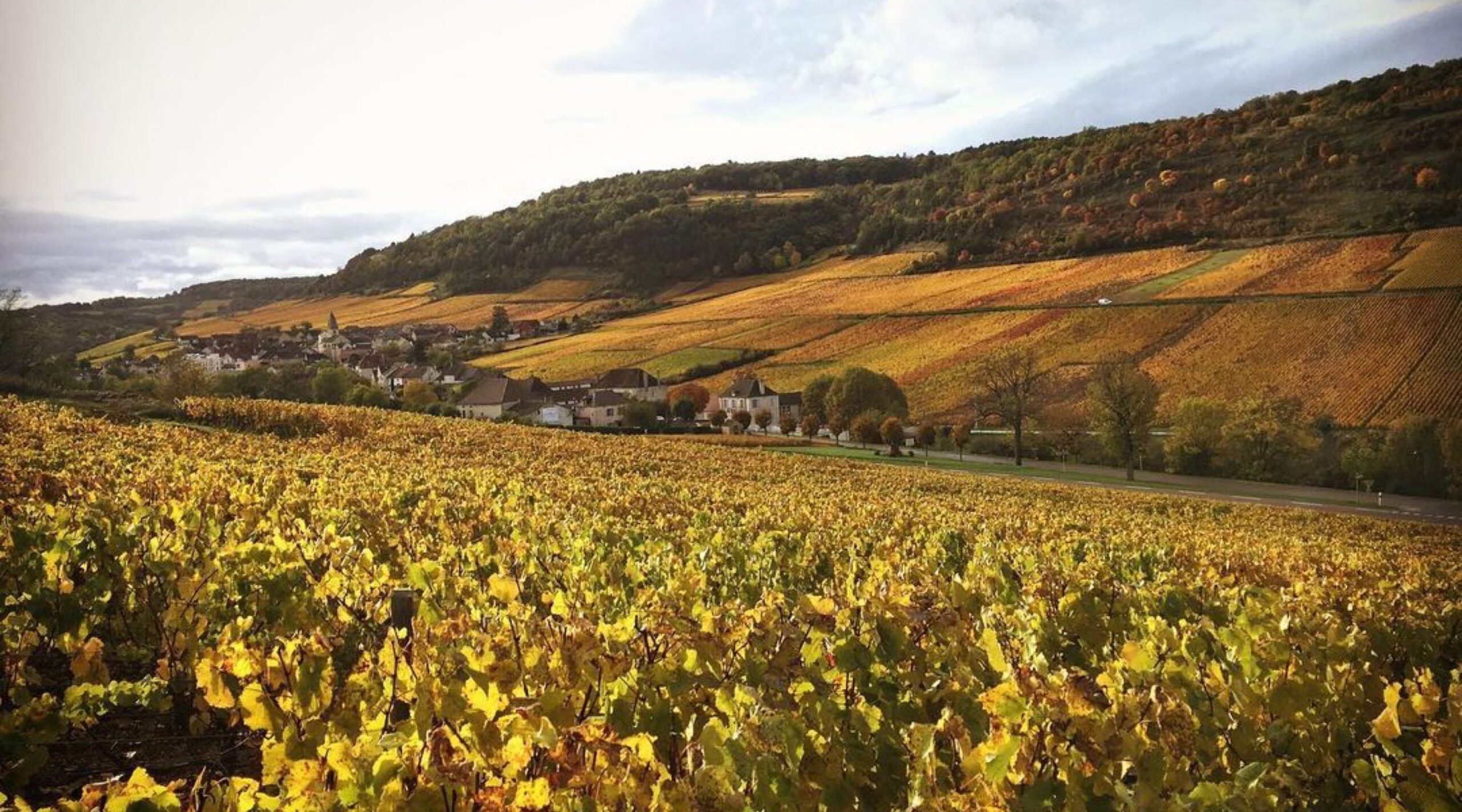 Domaine Henry Prudhon vineyard