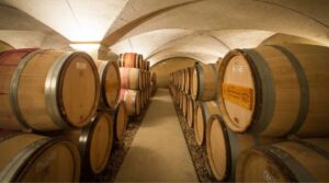 Domaine Jean Marc Pillot wine room