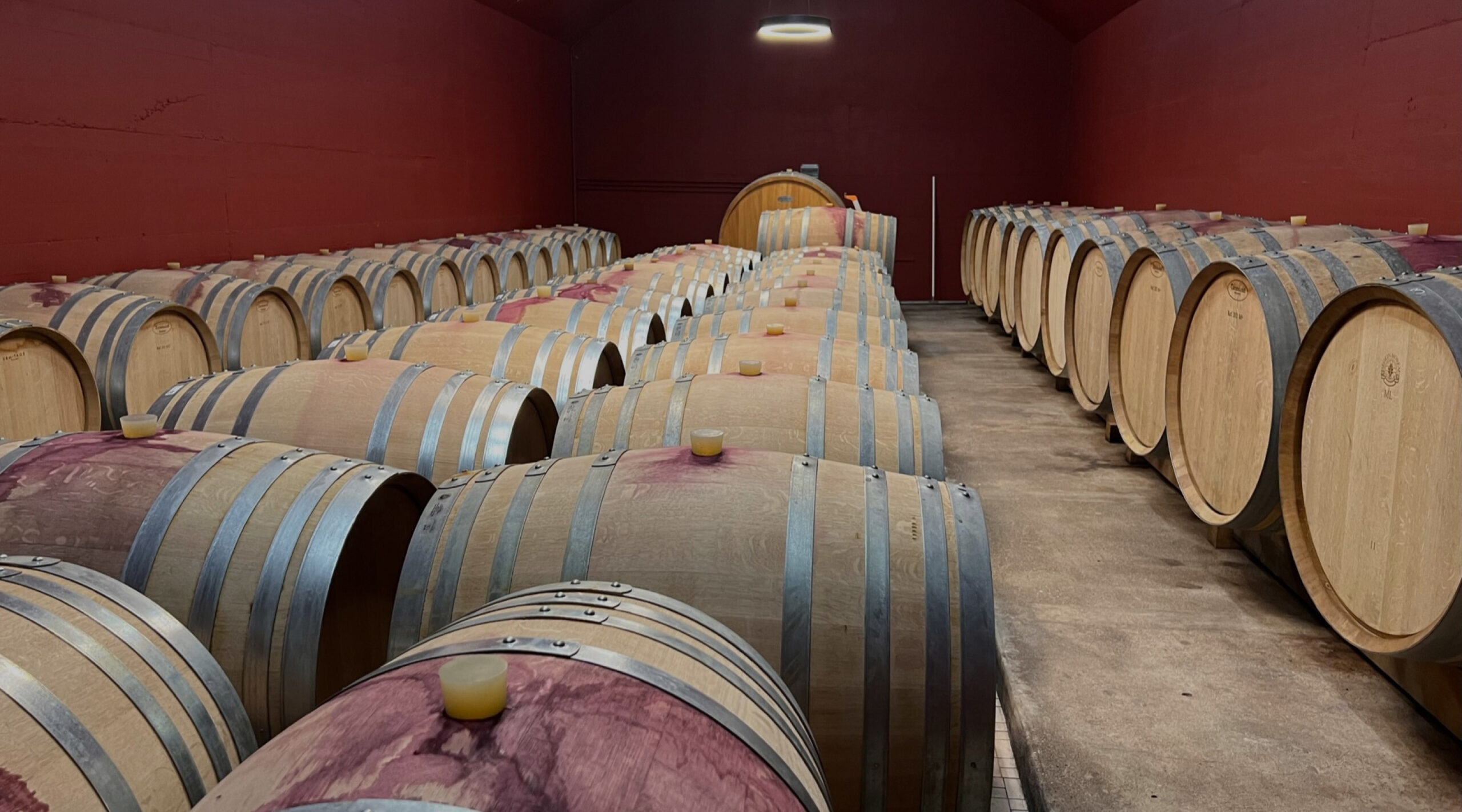 Domaine Lucien Crochet wine room