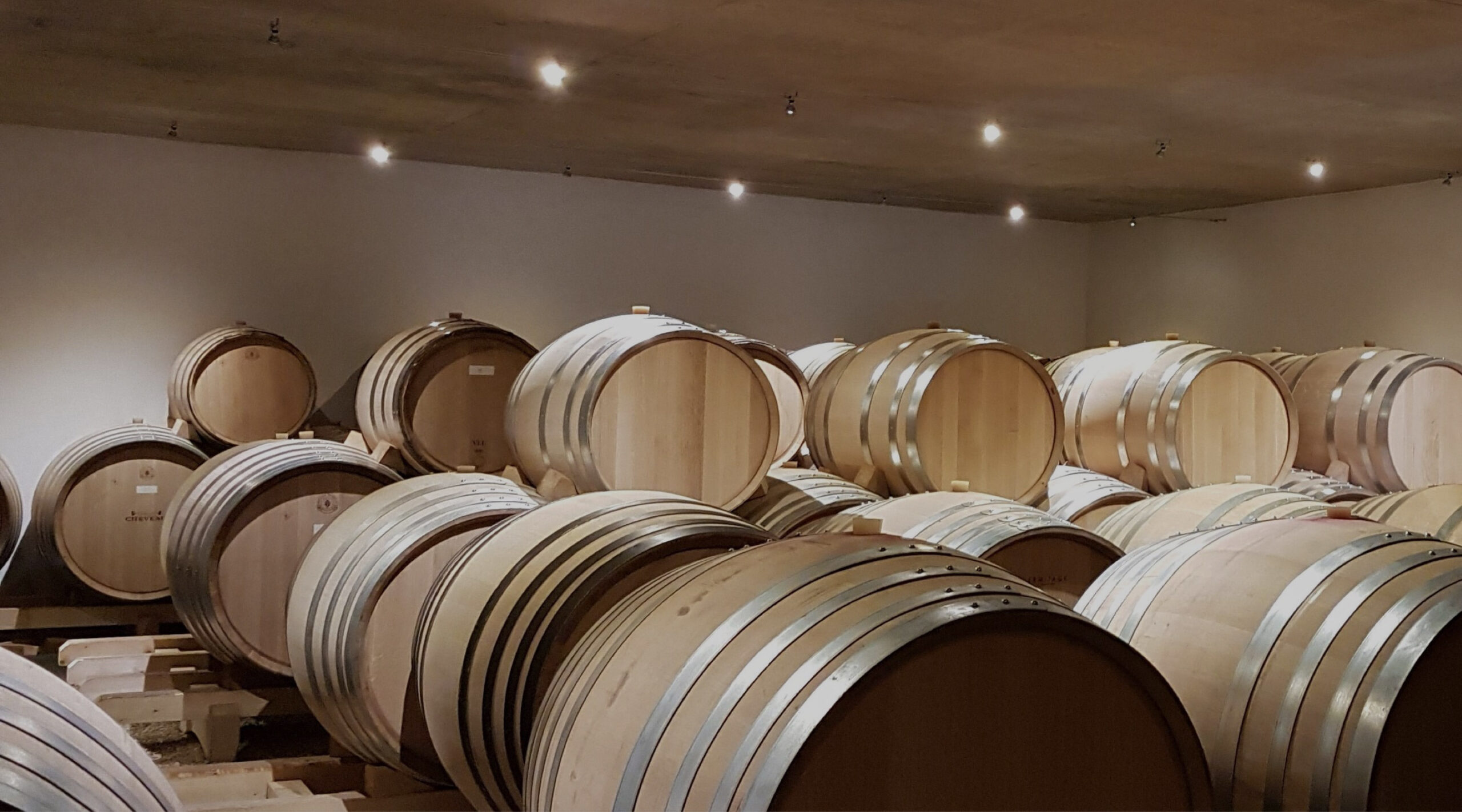 Domaine Michel Cheveau wine room