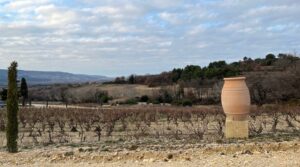 Domaine Viret vineyard
