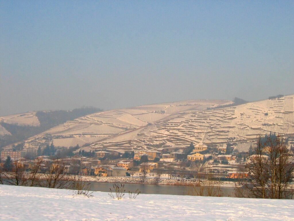 Levet-Vineyards-covered-in-snow-2006